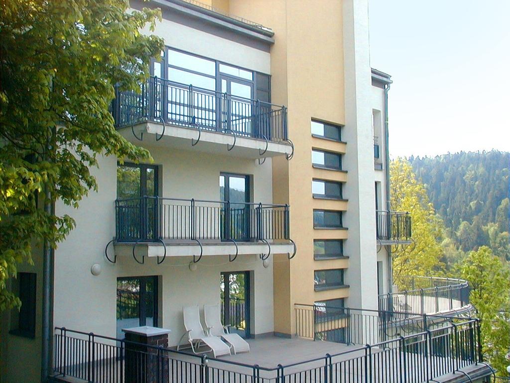 Farys - centrum Krynicy na wzgórzu wśród ciszy ze wspaniałymi tarasami widokowymi, sauna, jacuzii, siłowna, prywatny parking Krynica-Zdrój Exterior foto
